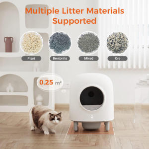 Petree Smart Cat Litter Box: A Comprehensive Guide