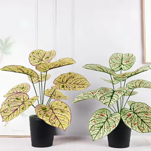 พร้อมส่ง ต้นบอนสีปลอม 12ใบ/18ใบ สูง 60-75ซม.