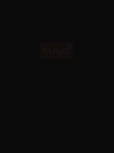 IP65 Smart LED Outdoor Light Tuya WIFI Control LED Flood Light RGBCW Dimmable 50W floodlights