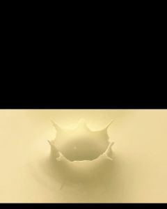 Nutrivo Colostrum Powder (500g) IgG 1000mg and BacoMind 2500mg USA Formula