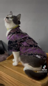 Pet Batik Shirt for Cats & Dogs MERDEKA Edition / Premium Pet Heritage Batik Shirt / Soft Breathable Cat Dog Clothing / Royal Harmony - Merdeka Heritage Collection