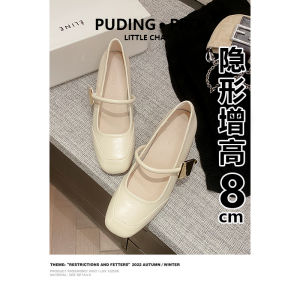 Womens Fashion Mary Jane Shoes Spring 2025 Thick Heel High Heel Inner Heightening All-Match Style Korean Version Daily Wear