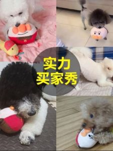 Durable Plush Dog Toy Echoing Jumping Ball Pet Stress Relief Toys for Dogs Wear Resistant Squeaky Ball for Puppies Fun And Play