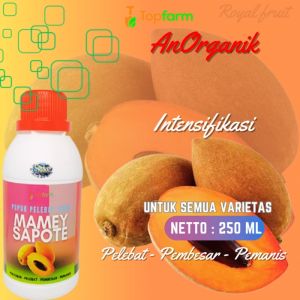 Pupuk Buah Mamey Sapote Alami: Cara Membuat & Menggunakannya