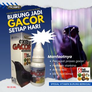 EXTRA GACOR VIT BURUNG KENARI MURAI COCAK IJO PENAMBAH GACOR BURUNG