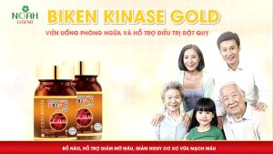 Viên uống phòng chống đột quỵ tai biến Biken Kinase Gold giảm mỡ máu tan máu đông hỗ trợ tim mạch tăng tuần hoàn máu