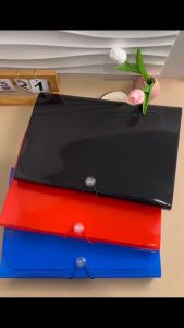 Long Expanding File Folder Document Storage Paper Organizers Large Capaciyt  Waterproof PP 38X26CM