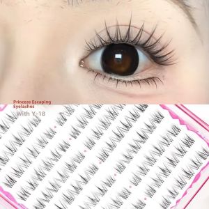 Natural Looking Fake Eyelashes Lightweight Natural Fluffy Effect High Capacity for Female Groups Daily Use Segmental Design