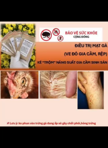 combo 3 gói bột bọ dẹp mạt cho gia cầm