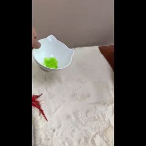 PAW HERO (VARIATION) Bioline Keep Off Jelly 225g Outdoor Repellent Gel Pet Keeps Away for Dogs & Cats