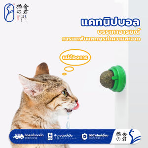 แคทนิปบอล แคทนิปกัญชาแมว Catnip สดชื่น ผ่อนคลาย น้องแมวชอบ อารมณ์ดี ผ่อนคลาย ราคา โปรโมท สร้างละเอียด สดชื่น ผ่อนคลาย อารมณ์ดี