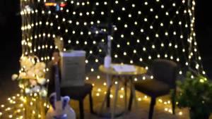 LED Net Mesh Light Christmas Window Curtain String Light Outdoor Fairy Light Garland for Xmas Tree Backyard Wedding Party Decor