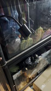 "Hoàn tiền đến 10%" ĐÈN LED RỌI KAOKUI 7W 3 CHẾ ĐỘ MÀU CHO BỂ CÁ CẢNH