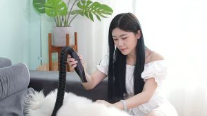 6800W Power Hair Dryer Pet Dog Cat Grooming Warm Wind Fast Blow-dryer Portable Pet Hair Dryer (Blow&Suction 2in1)