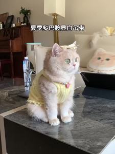 Cute Fashion Dog Vest Suspender Dog Vest Soft Skin-friendly Breathable Sweatshirt Puppy Cat Bichon Casual Summer Pet Costume