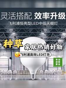 Philips | Đèn Led Siêu Sáng Tiết Kiệm Điện Công Suất Cao