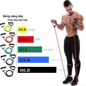 Dây Đàn Hồi Có Tay Cầm Dành Cho Nam Và Nữ Dụng Cụ Tập Luyện Tại Nhà Dây Tập Luyện Sức Mạnh Cho Tay Chân Eo Và Cơ Bụng