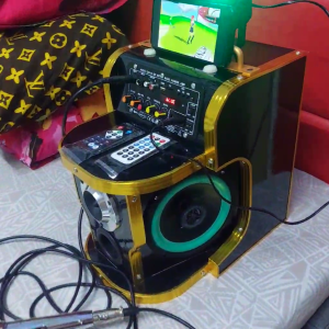 All-In-One Ultimate Bluetooth Karaoke Party Speaker & Vault