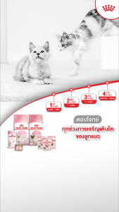 Royal Canin Mother & Babycat ขนาด 400 กรัม (โรยัล คานิน) อาหารเม็ดสำหรับแม่แมวตั้งท้องให้นม และลูกแมวหย่านม-4 เดือน