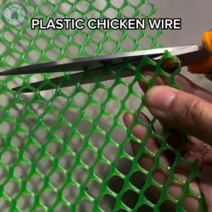 Plastic Screen Mesh Chicken Net Wire: A Comprehensive Guide