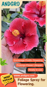 ANDGRO Foliar Spray for Flowering (1000ml)