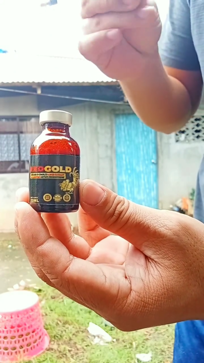 REDGOLD 100 ML SUPER B-COMPLEX+LIVER EXTRACT+L-CARNITINE Red Gold B12 Best  Liquid B12 Supplements - Lazada | Lazada PH