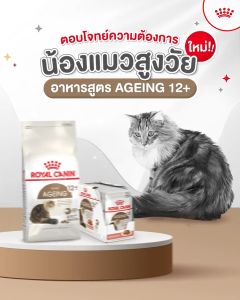 EXP3/2027 Royal canin Ageing 12+ gravy อาหารเปียก ( 12 ซอง ) สำหรับแมวสูงวัย อายุ 12 ปีขึ้นไป