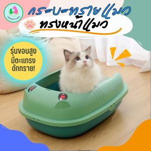 กระบะทรายแมว