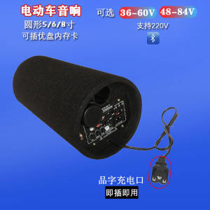 Electric Car Stereo Battery Tricycle Speaker Wireless Bluetooth 48v60v72v Car Motorcycle Car Subwoofer
