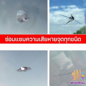 ร้านซ่อมกระจก ลบรอยกระจก น้ำยาซ่อมกระจก น้ำยาซ่อมแซมรอยแตกร้าว คลิกเพื่อชุดว่าสมบูรณ์ ร่ม และรูปทรงที่เหมาะสมสำหรับงานของคุณ