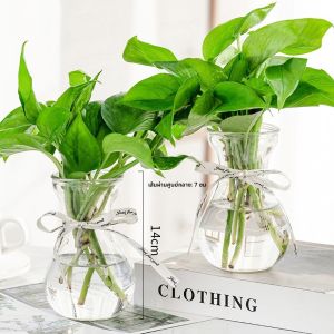 ขวดดอกไม้ตกแต่งห้องนั่งเล่นสไตล์ยุโรปเหนือ โปร่งใส ดีไซน์เรียบง่าย สร้างสรรค์ อุปกรณ์ปลูกต้นไม้ในน้ำขนาดเล็ก