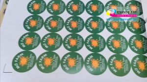 in Tem giấy nhựa công nghệ lazer sắc nét bế cắt theo yêu cầu khổ A3 giá rẻ (IN TỐI THIỂU 3 TỜ)