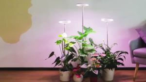SG READY STOCK Plant Grow Light LED Full Spectrum USB Indoor Plant Lamp Adjustable Height with Timer Dimming Potted Plants