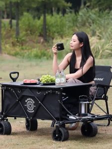 Blackdog Camping Wagon Cart Thickwheel Citywalk 150L 200L 300L 380L 450L Trolley Table Top BD-TC002 CBD2450JJ014 Black Dog City Walk Kawasaki Ninja 300 Black 300 Tdi - Lazada