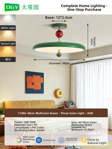 DGY | French Retro Style Child-friendly Eye Protection Ceiling Light Wooden Color