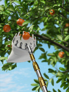 DELIXI | High Reach Fruit Picking Tool Pole