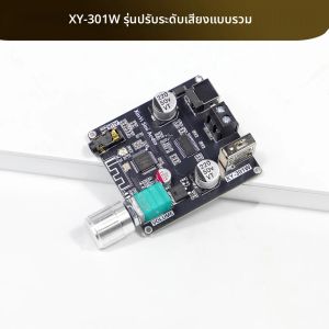 บอร์ดเครื่องขยายเสียงโมโน TWS 30W บลูทูธ 5.2 ควบคุมผ่านแอพ DC 9-24V AUX สำหรับลำโพงรถยนต์ คาราโอเกะ สมาร์ทโฮมเธียเตอร์ ซับวูฟเฟอร์