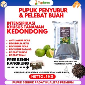 Pupuk Booster Kedondong: Panduan Lengkap