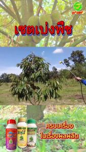 ต้านทานโรคและแมลง สารธรรมชาติกระตุ้นการแบ่งเซลล์ ต้นพืชแข็งแรง ชุดเบ่งพืช3ชุด กระตุ้นการแตกราก พืชเขียวทน เขียวนาน ต้านทานโรคและแมลง เร่งเปิดตาใบ