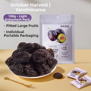 SHI YUE JIE JING | Sugar Free Dried Plum Snack
