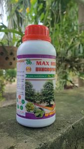 [Freeship Max] Phân bón lá BUNG ĐỌT RA RỄ  mai vàng giúp kích rễ tượt mạnh chai 500ml_VTNN TRUNG THIEN THINH