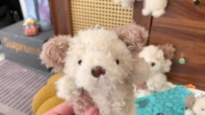 Uk Jellycat Curly Puppy Doll Keychain Small Animal Plush Doll Hanger Accessories Gift