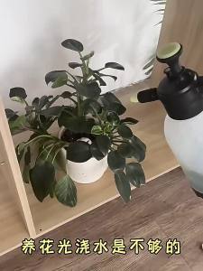 OXO Gardening Nutrient Solution Plant Universal Household Indoor Soil Culture Hydroponic Pot Flower Green Plant Leaf Flower Fertilizer