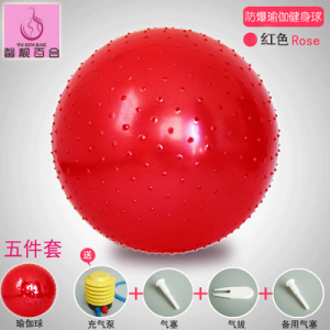 Thickened Yoga Ball for Beginners Women Balance Training Ball Explosion Proof Fitness Exercise Ball Early Education for Babies