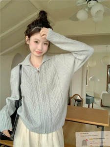 Zippered Knitted Sweater Jacket Womens Inner Wear Lazy Style Polo Collar Grey Spring Autumn High End Feel Commute Style Korean Loose Fit