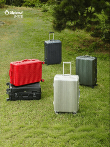Diplomat | Aluminum Frame Luggage with Password Lock 25 Inches