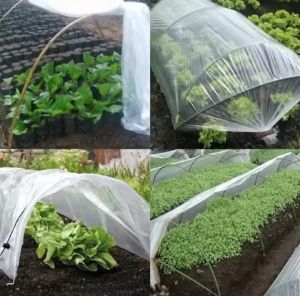 PLASTIK GRANDHOUSE TEBAL 150 MICRON LEBAR 60 CM PANJANG 25 METER