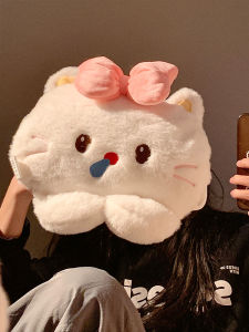 Cute Sleeping Cat Design Rechargeable Explosive Proof Plush Warm Water Bottle Womens Winter Hand Warmer Baby Soft Healing Style