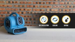 XPOWER P-230AT Black 1/4 HP Multi Air Mover Utility 180W Timer & Power Outle Fan