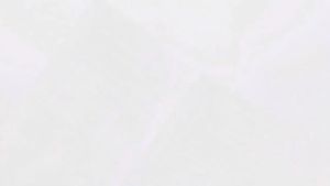 Aerobika Mucus Clearance Device